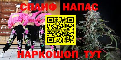 гидра Дубна