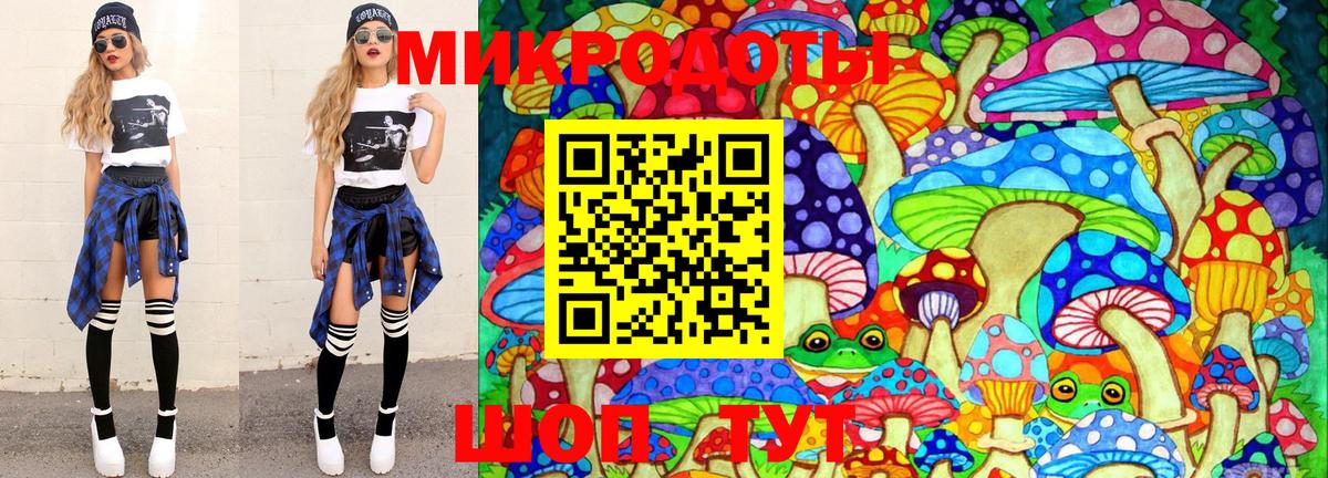 Галлюциногенные грибы Psilocybe Нерюнгри