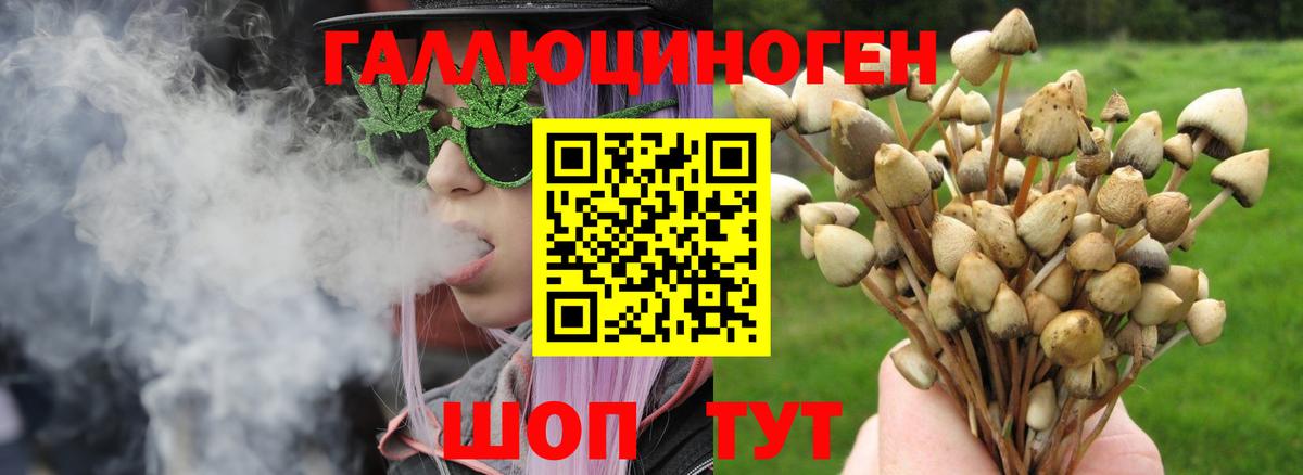 Псилоцибиновые грибы Psilocybe  Вход с VPN  Псилоцибиновые грибы Psilocybe  Нерюнгри 